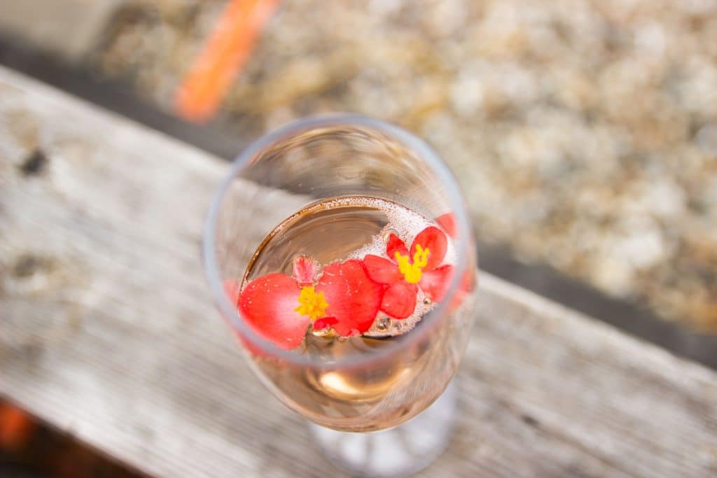 Perfecte bruiloften ceremoniemeester Cilvie in Nijmegen