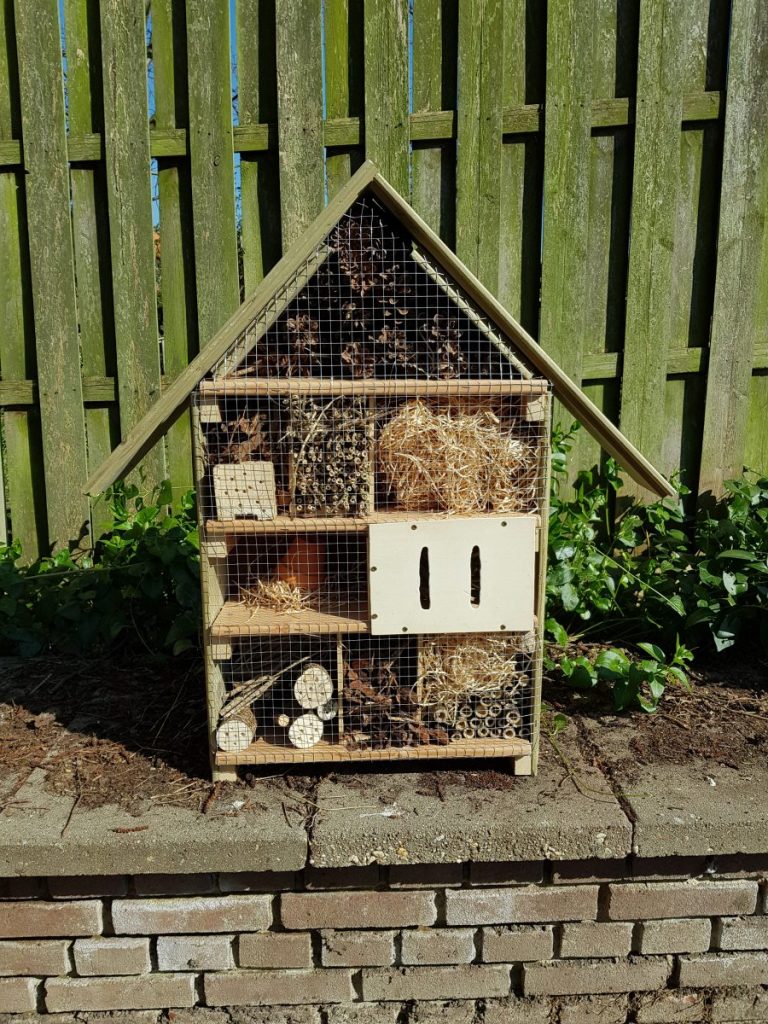 eigen moestuin beginnen