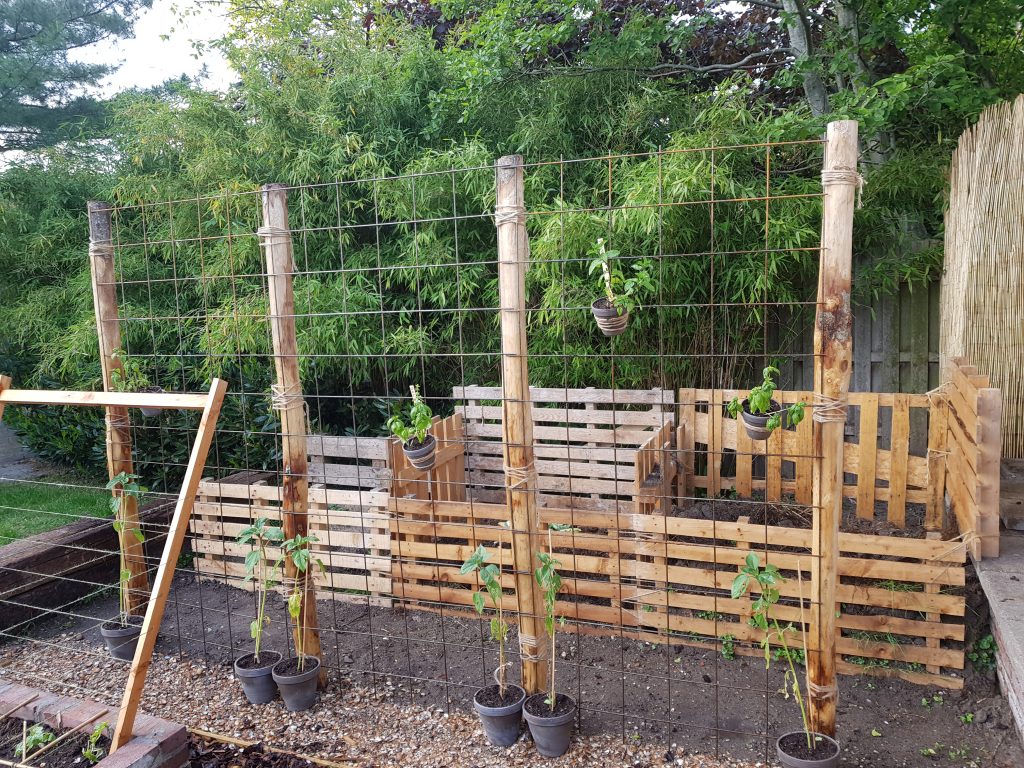 eigen moestuin beginnen