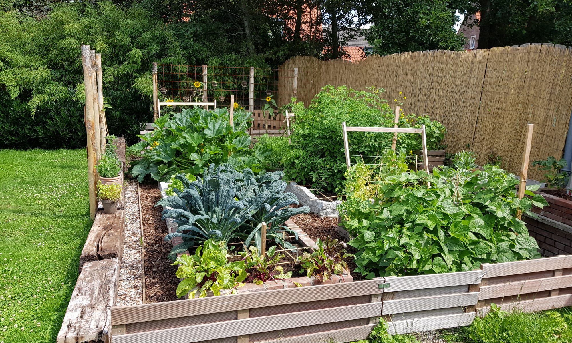 eigen moestuin beginnen