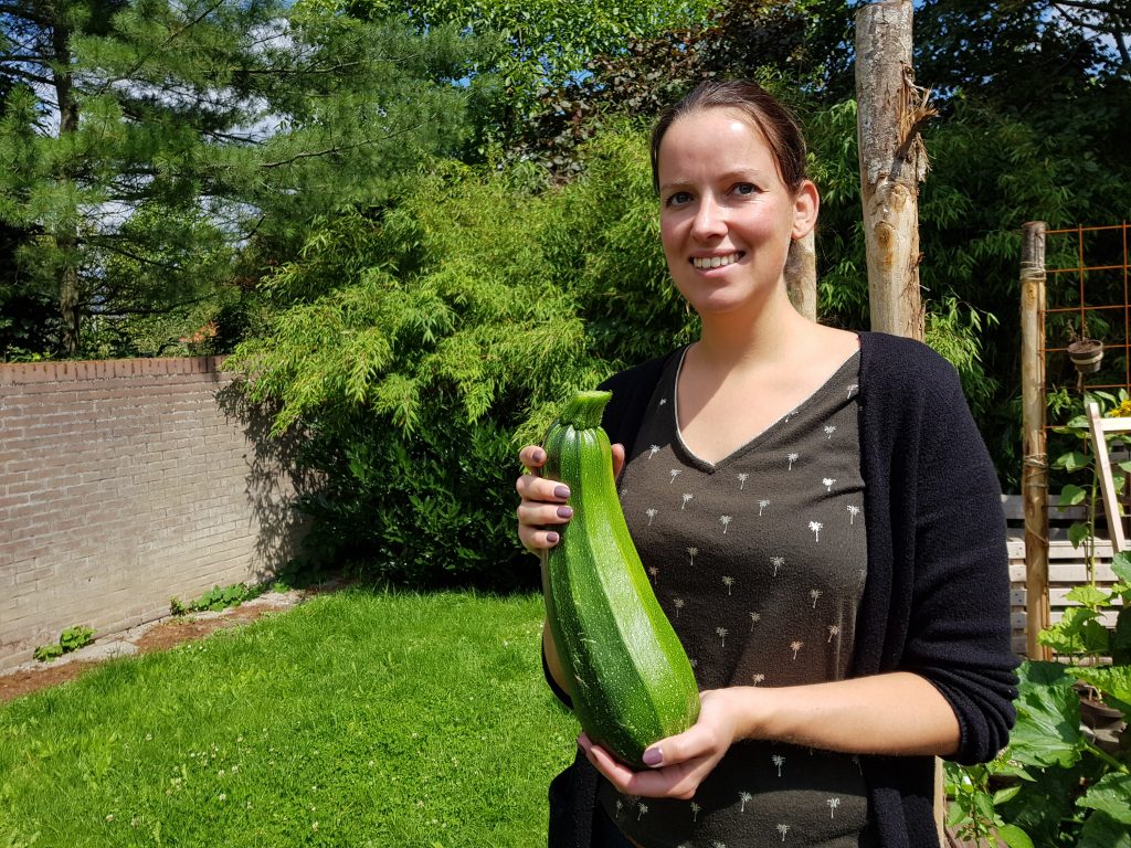 eigen moestuin beginnen