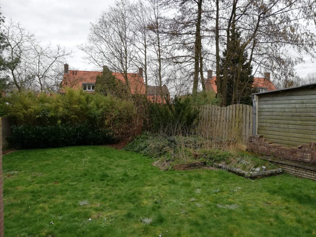 eigen moestuin beginnen