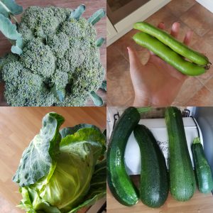 eigen moestuin beginnen