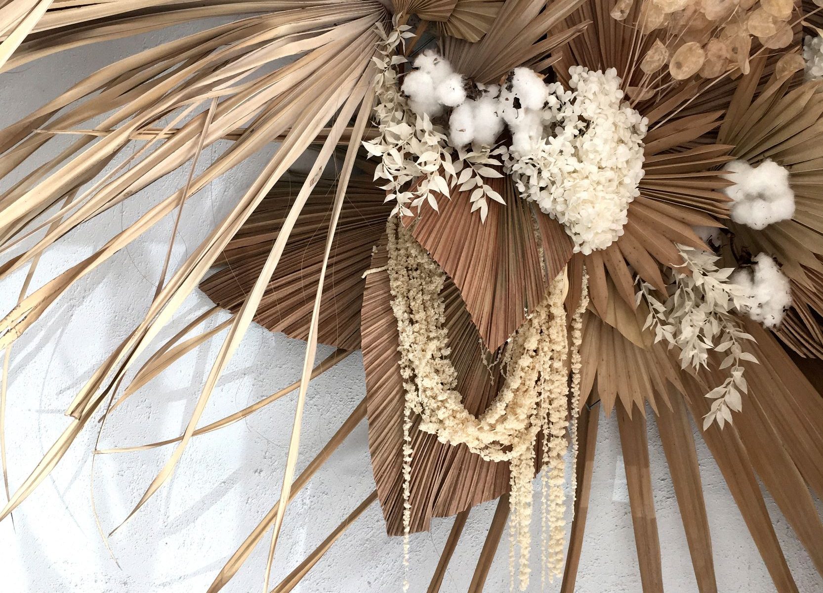 flora, fauna & falafel