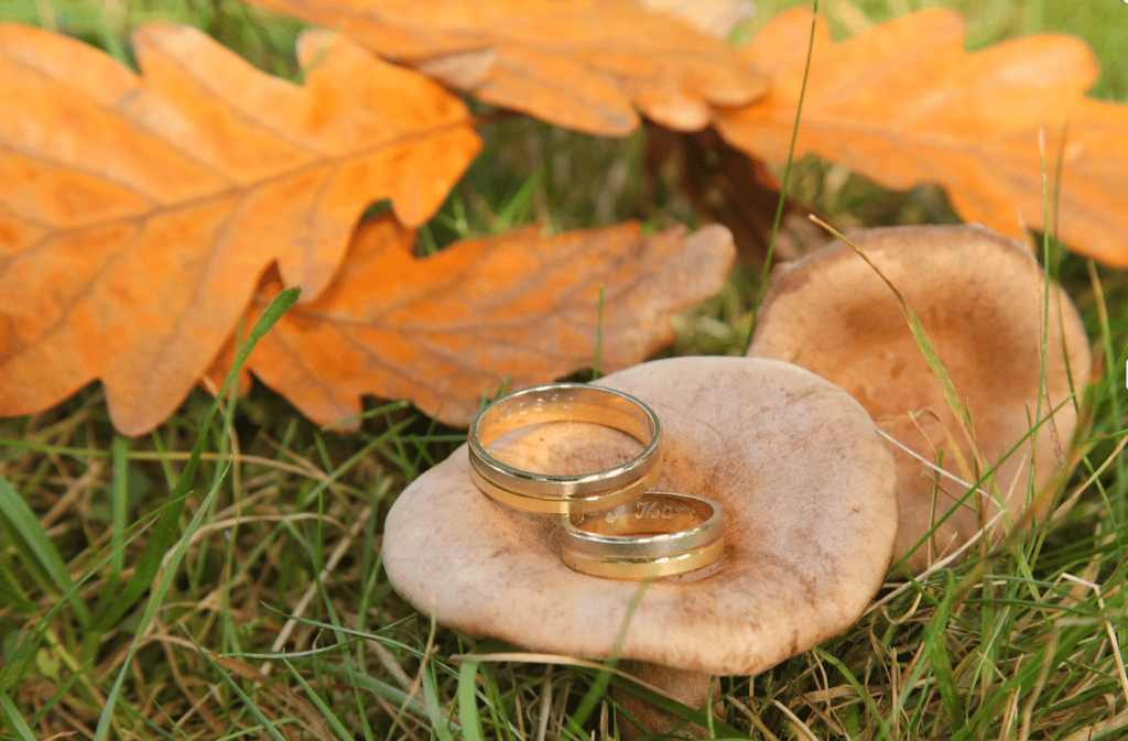 Trouwen in het najaar