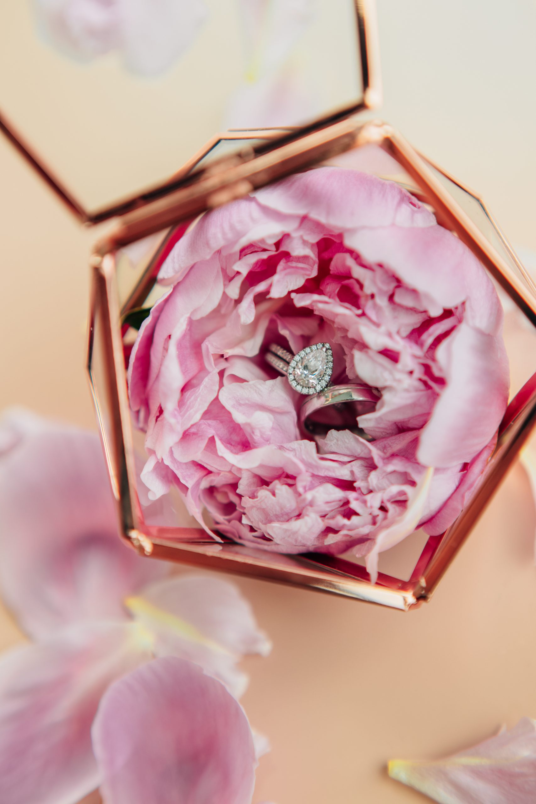 neem even contact op