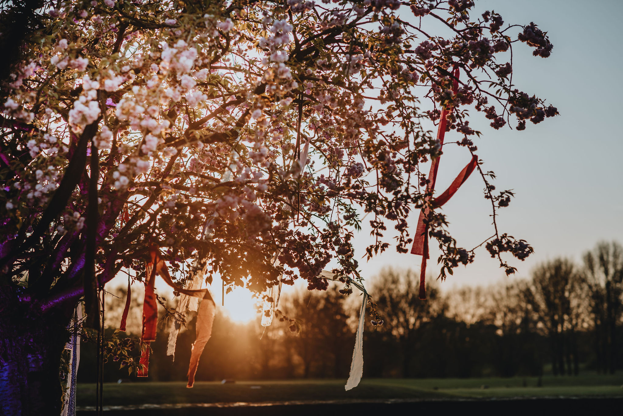 OdizafotografieStefanieenBart451